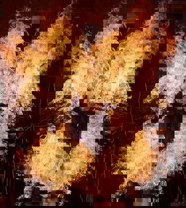 BTTG 01.04.15 002
