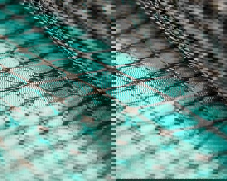 BTTG 15.03.18 Geotextile (4)