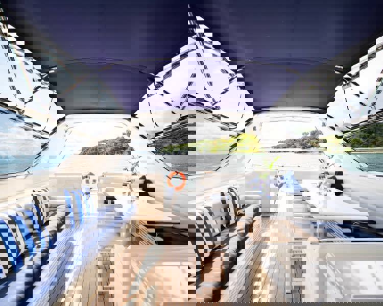 Shutterstock 2234181101 (1)