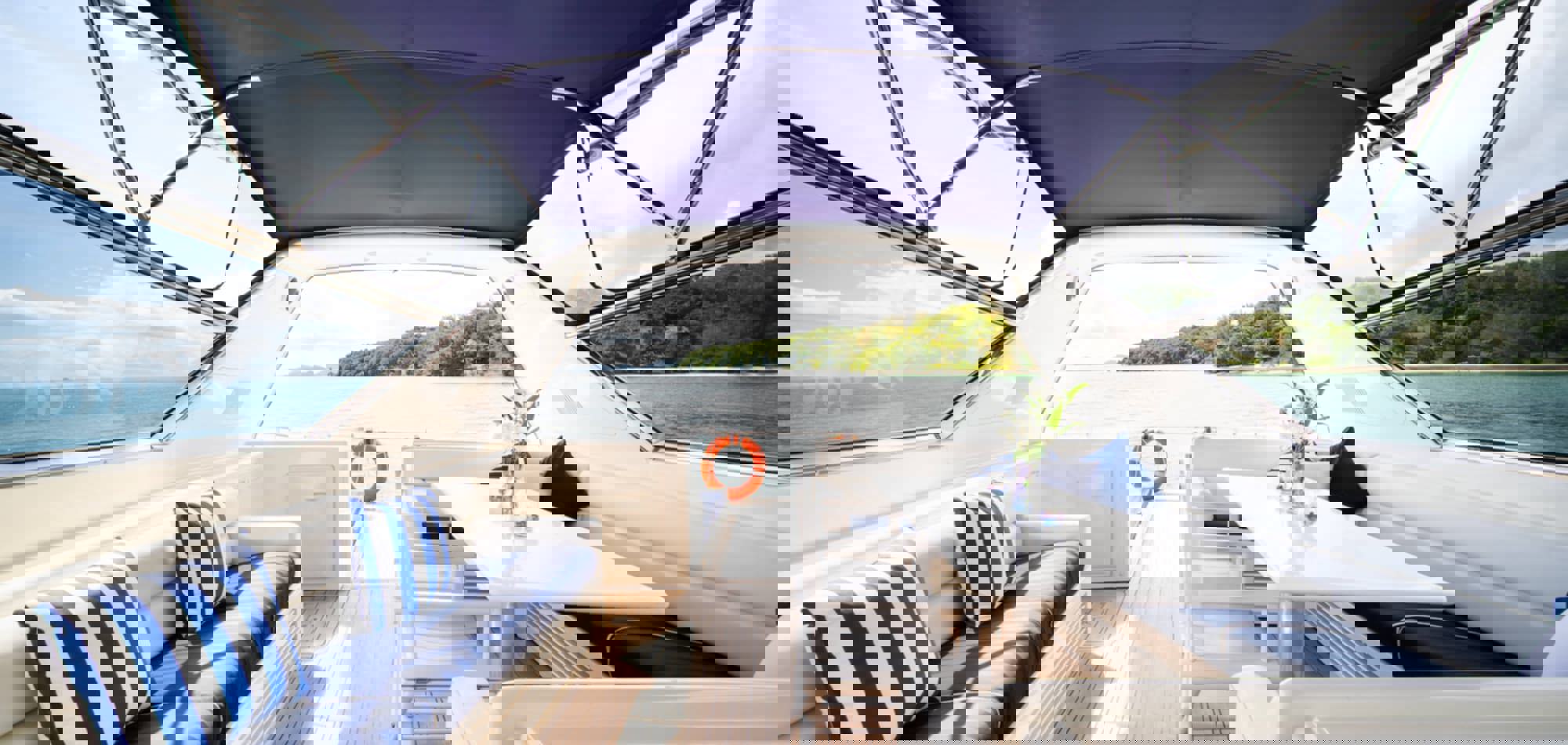 Shutterstock 2234181101 (1)